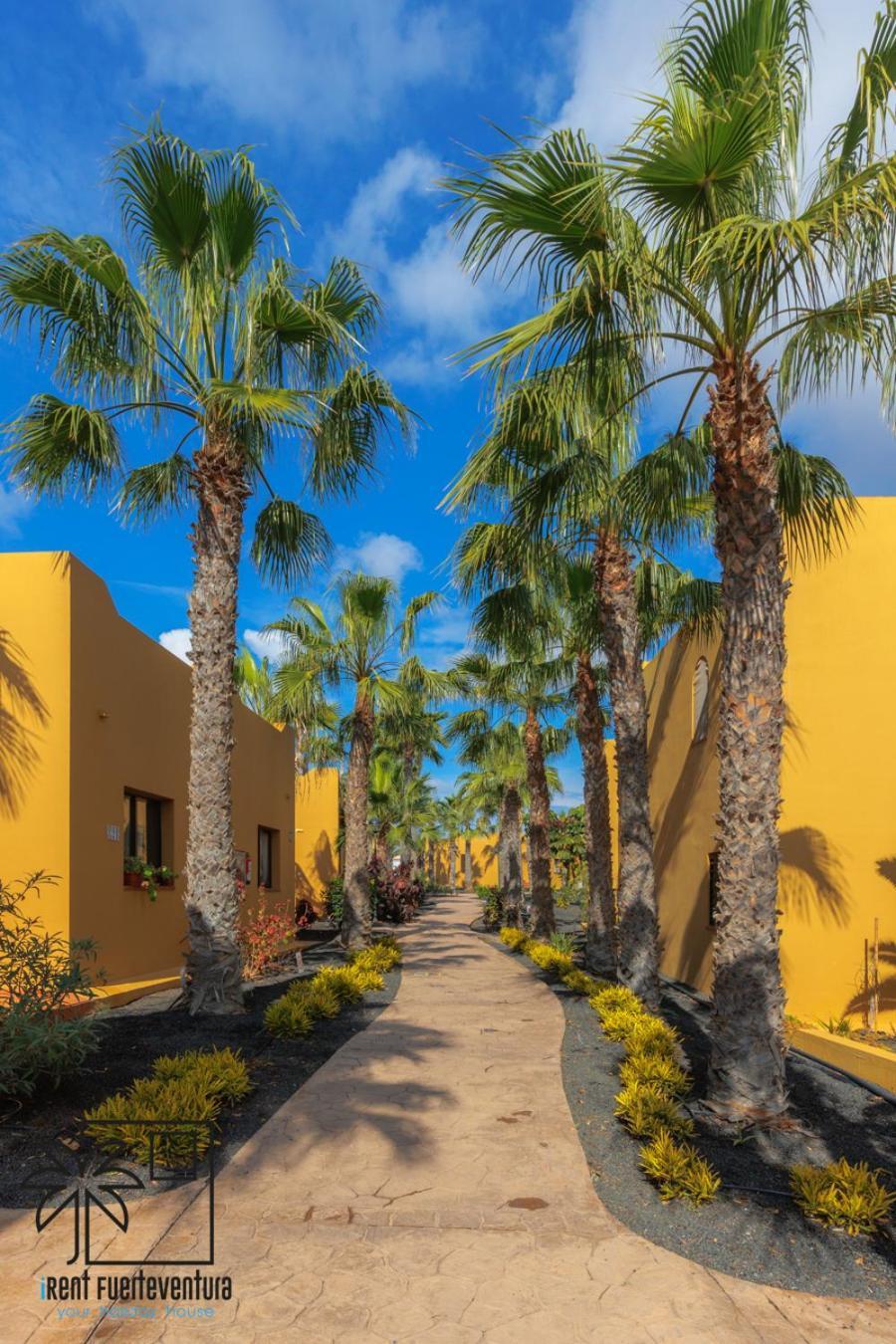 Апартаменты Casa Alisio Papagayo Corralejo Irent Fuerteventura Экстерьер фото