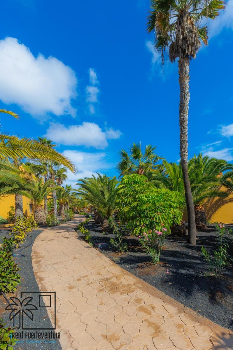 Апартаменты Casa Alisio Papagayo Corralejo Irent Fuerteventura Экстерьер фото